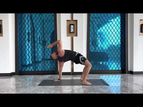 Видео: ANIMAL FLOW начальный уровень. ДИНАМИЧЕСКИ стретчинг, МОБИЛЬНОСТЬ суставов, работа С КОРОМ.