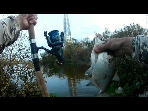 Видео: Рыбалка на леща в СПб, Лахтинский разлив.