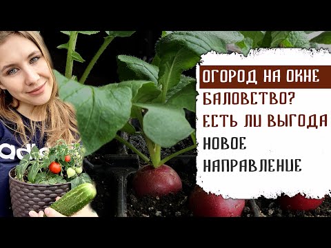 Видео: ОГОРОД НА ОКНЕ БАЛОВСТВО? ЕСТЬ ЛИ ВЫГОДА? НОВОЕ НАПРАВЛЕНИЕ СИТИФЕРМЕР.