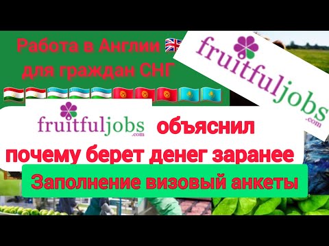 Видео: Fruitfuljobs объяснил почему берёт денег заранее