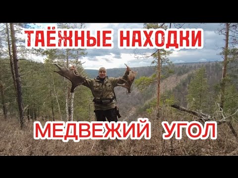 Видео: ОХОТА / ТАЁЖНЫЕ НАХОДКИ / УШЁЛ В МЕДВЕЖИЙ УГОЛ / РАСТЕРЯЛ СОБАК .