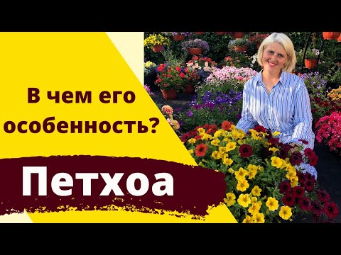 Видео: Петхоа. Есть ли отличие от петунии и при чем тут калибрахоа?!