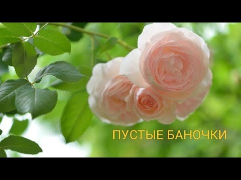 Видео: МНОГО ПУСТЫШЕК🌷ОПЯТЬ ЗА ДВЕ НЕДЕЛИ🌷
