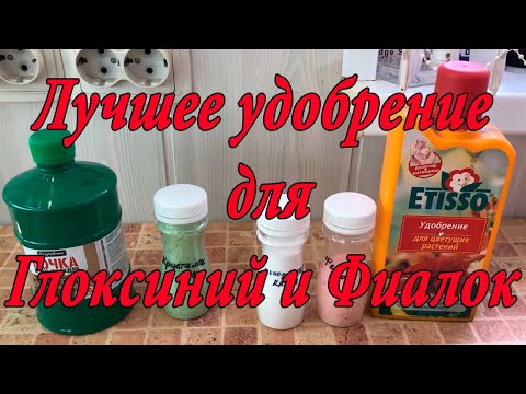 Видео: Лучшее Удобрение для Глоксиний и Фиалок