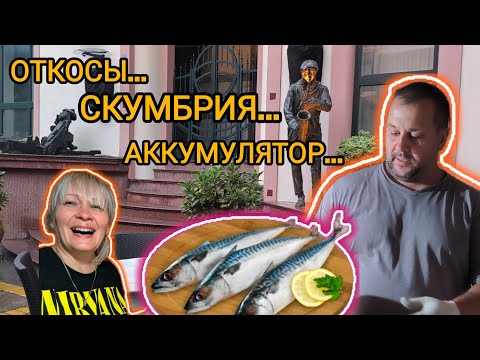 Видео: #vlog ВЕРНУЛИ СЛОМАННЫЙ//РЕЦЕПТ СКУМБРИИ//ОТКОСЫ ИЗ ГИПСОКАРТОНА //