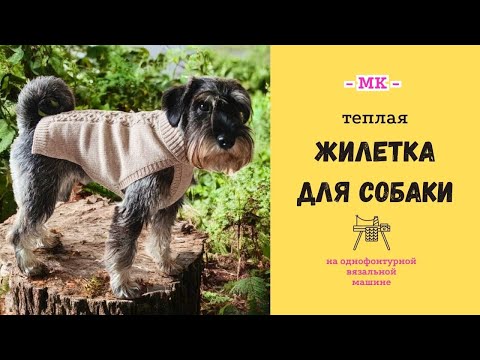 Видео: Жилетка для собаки среднего размера по ИНДИВИДУАЛЬНЫМ меркам 🐕 #вязальнаямашина