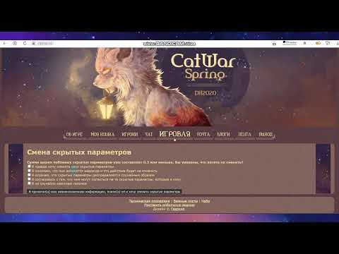 Видео: Перегенерация СП / Мои новости / CatWar