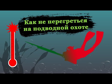 Видео: Как не перегреться на подводной охоте