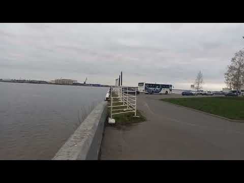 Видео: 25 октября 2025 г.