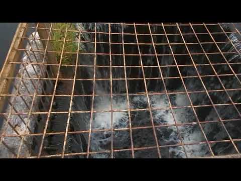 Видео: Плотина в пос. Федотово Вологодской обл.