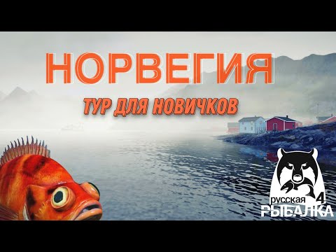 Видео: Новички! Фарм Серебра и Опыта в Русской Рыбалке 4 (Тур в Норвегию, Что это такое?)