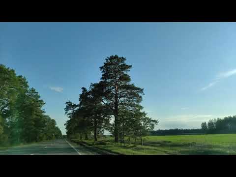 Видео: Поливановская аллея в мае  Акшуат  Ульяновск   Барыш