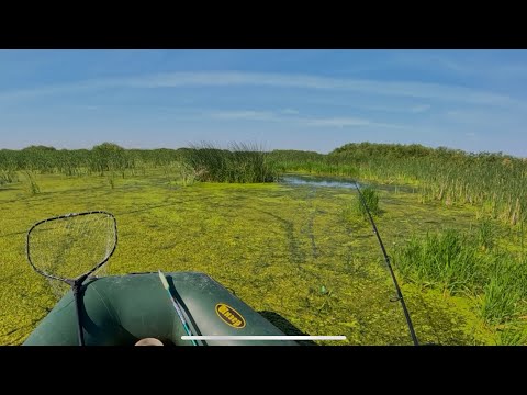 Видео: РЫБАЛКА НА СПИННИНГ В ДИКИХ МЕСТАХ ИШИМА! ПОСТАВИЛ ЗАПРЕЩЕННУЮ ВЕРТУШКУ и НАЛОВИЛ РЫБЫ!