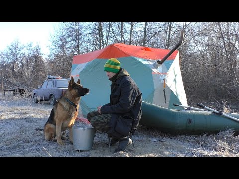 Видео: Первый ЛЕД! Пес искупался. Греем лапы в палатке. Поиски рыб.