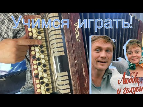 Видео: Самый легкий разбор для новичков "ЛЮБОВЬ И ГОЛУБИ"
