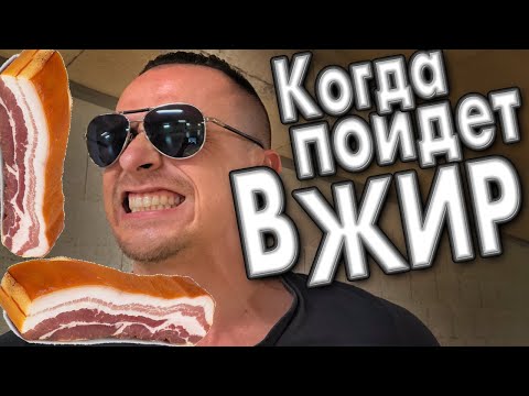 Видео: Когда ЖИР начинает откладываться ? Накопление жира в организме | Жировые отложения