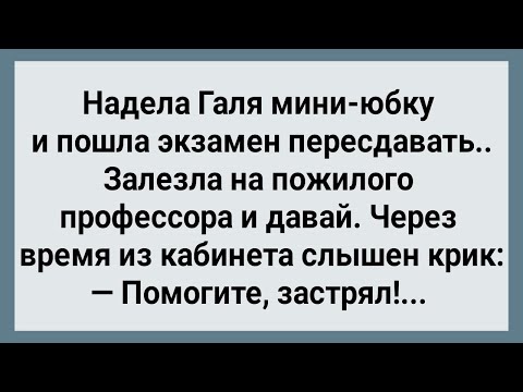 Видео: Как Галя Экзамен Пересдавала! Сборник Свежих Анекдотов! Юмор!