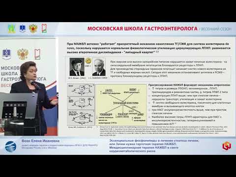 Видео: Вовк Елена Ивановна Эссенциальные фосфолипиды в лечении стеатоза печени, или Зачем нужна таргетная т