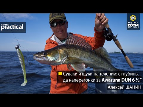 Видео: Судаки и щуки на течении: с глубины, да наперегонки за Awaruna DUN 6 ½’’. Алексей Шанин.  Practical