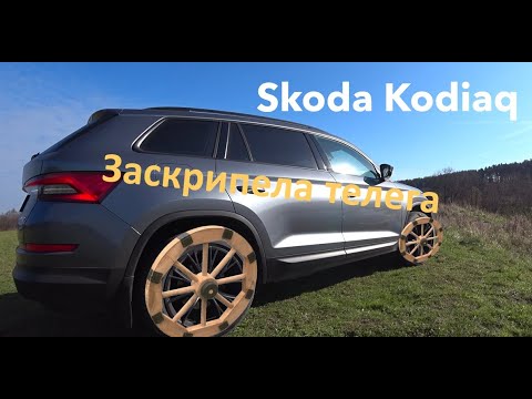 Видео: Skoda Kodiaq скрип колеса, едем исправлять