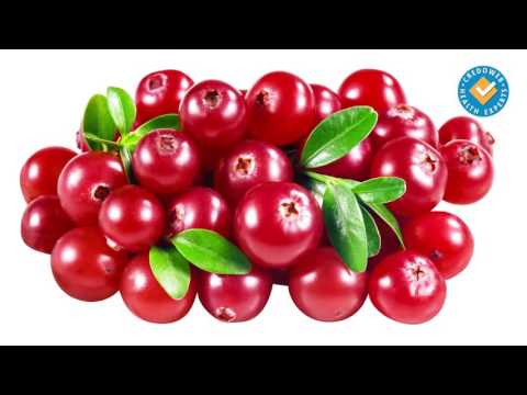 Видео: Лечение на урологични инфекции