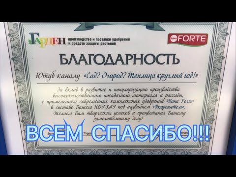 Видео: Как рождался наш УКОРЕНИТЕЛЬ или как мы добились 100% РЕЗУЛЬТАТА? Вся ИСТОРИЯ от А до Я!
