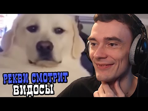 Видео: Рекви смотрит видосы #10