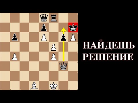 Видео: Неожиданный финал в шахматах! Найдешь выигрыш за белых?