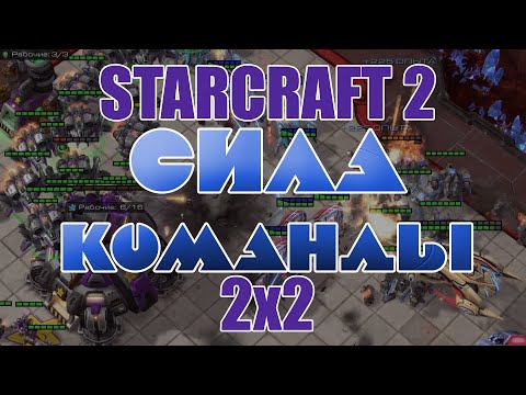 Видео: Сила команды