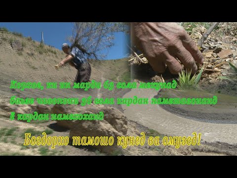 Видео: ана инро мехнату захмат мегуянд
