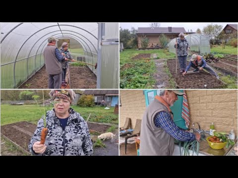 Видео: ПОМЫЛИ ТЕПЛИЦУ, ПОСАДИЛИ ЧЕСНОК, ВЫКОПАЛИ МОРКОВКУ И ПОРЕЙ.