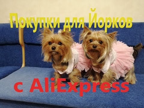 Видео: Покупки с АлиЭкспресс для Йорков