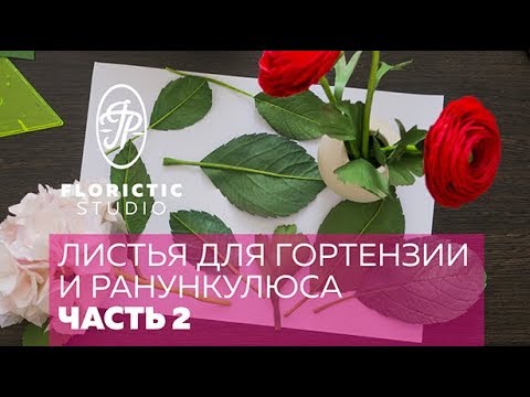 Видео: Листья для гортензии и ранункулюса (Чась2 "Лист ранункулюса")