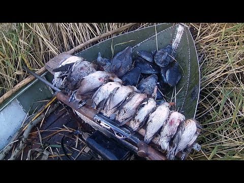 Видео: Вот такая охота 2018 с ружьем Мц-21-12! Чирковый рай!