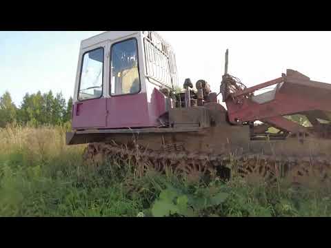 Видео: Прогулка по родной деревне 2