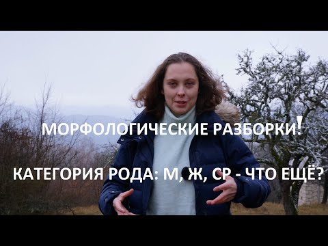 Видео: Морфологические разборки: категория рода - М, Ж, Ср, что ещё?