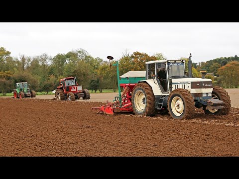 Видео: Классика Continental 80-х: Fendt Favorit 614 LSA, Fiat 1880 DT, Lamborghini 1506DT (плужная/сеяна...