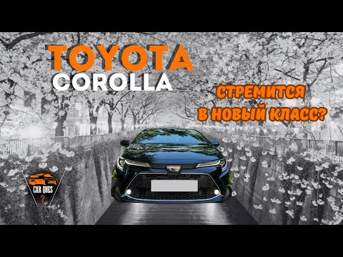 Видео: Обзор Toyota corolla 2020 | комплектация WxB | Car Ques