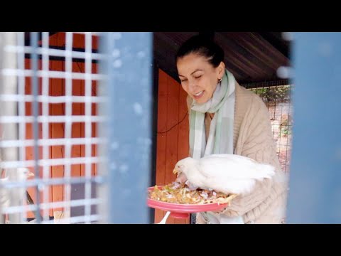 Видео: Как Лечу Детей | Новый Пациент | Пеку Вафли на Ночь Глядя | Семейный Влог | Эгине | Heghineh