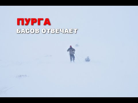 Видео: Пурга. Басов отвечает