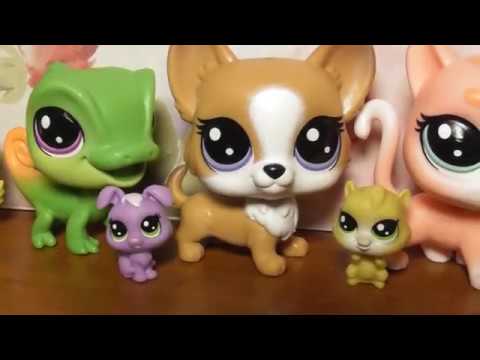 Видео: LPS: Поход в магазин за последними новинками ЛПС 2017 года / New rare LPS 2017
