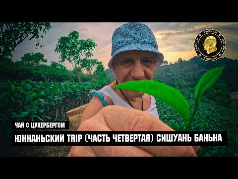 Видео: Чай с Цукербергом - ЮННАНЬСКИЙ TRIP ЧАСТЬ ЧЕТВЕРТАЯ «СИШУАНЬ БАНЬНА»