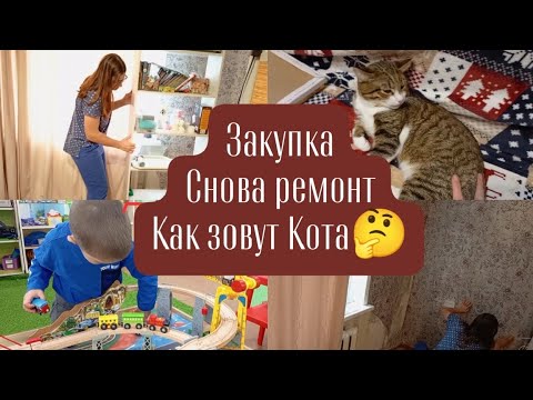 Видео: Закупка. Снова ремонт. Как зовут Кота