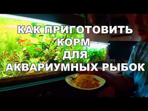 Видео: Готовим корм для рыбок. Проверка рецепта