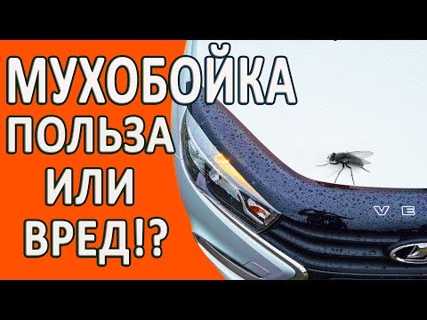 Видео: Мухобойка на Лада Веста. Польза или вред!?