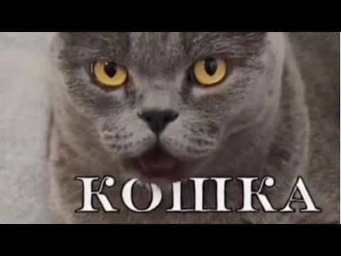 Видео: Первый стрим с ютуберкой, БедВарс, Ранкед БедВарс и прочее | AgeraPvP Club
