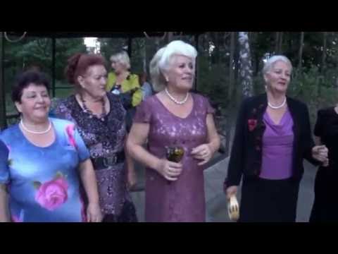 Видео: Юрий Коротеев-  Сестры Папины-  гармонь, бубен, ложки -  Липецк 3 09 2016 года. Съемка  В. Ланских