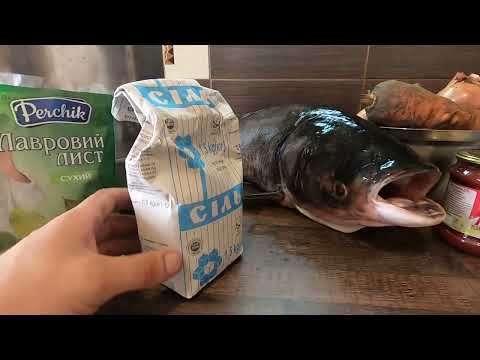 Видео: Консервы из толстолобика в автоклаве