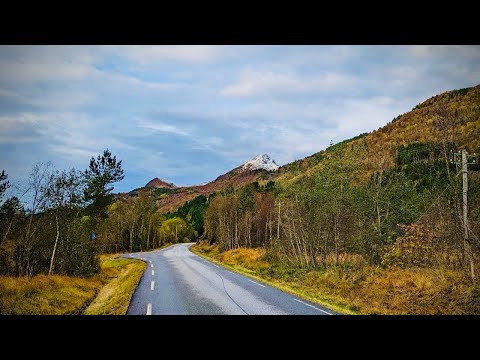 Видео: Эксперимент. Финская зимовка пчел vs Метод холодной зимовки пчел.