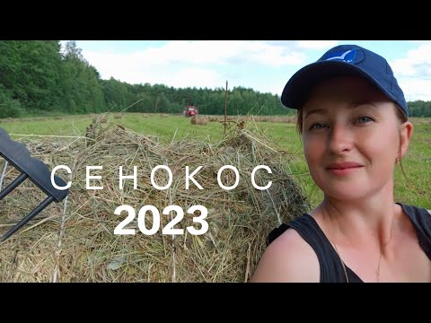 Видео: СЕНОКОС с DONG Feng 244 / Заготовили 5,5 тонн сена